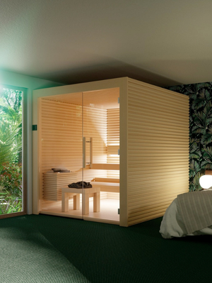 indoo sauna 1